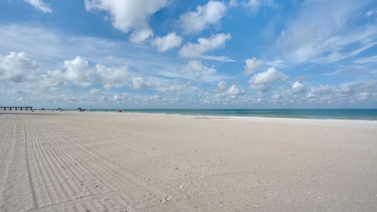 Photo of Others in Redington Shores