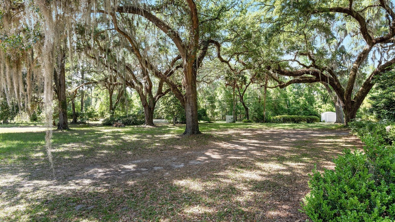 Photo of Others in Gainesville