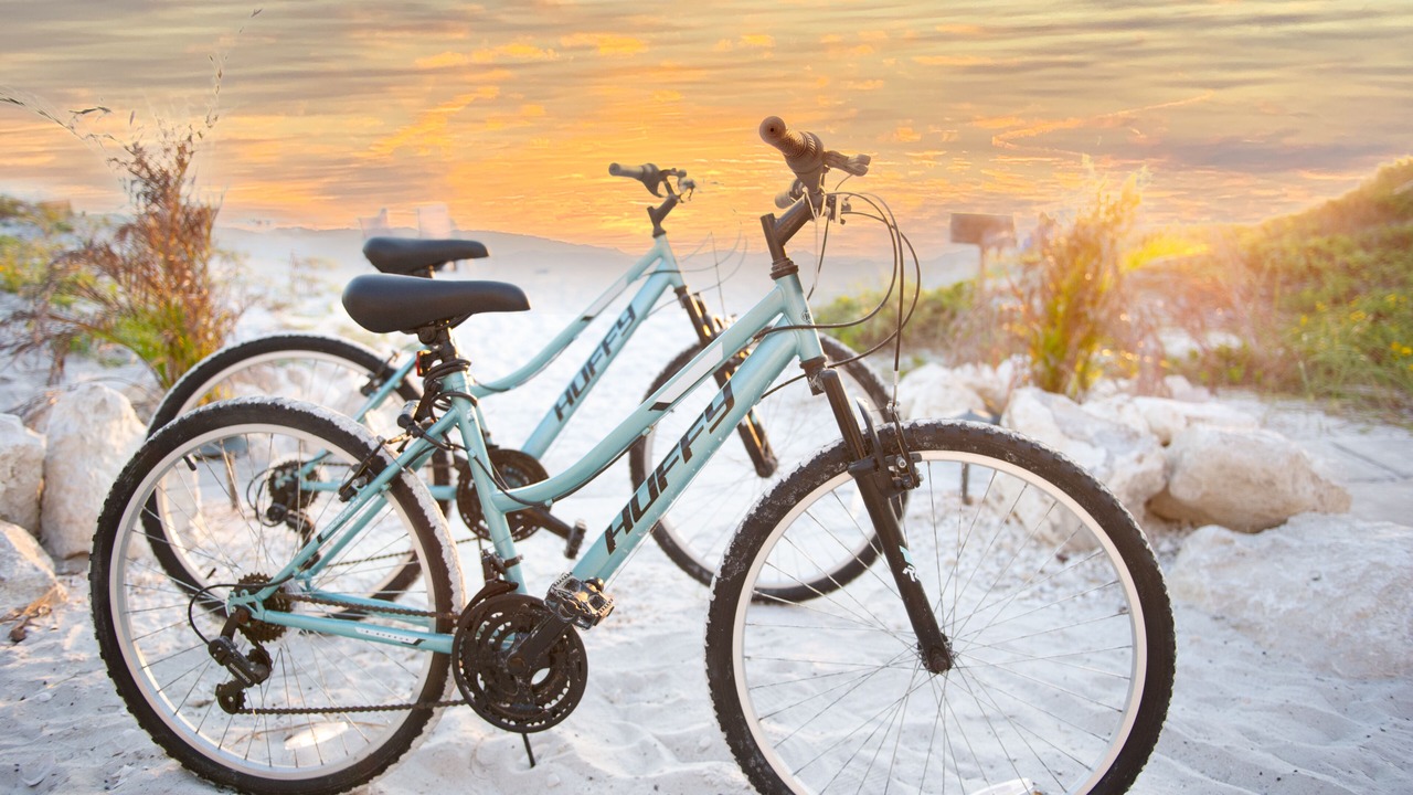 Photo of Outdoor in Indian Shores