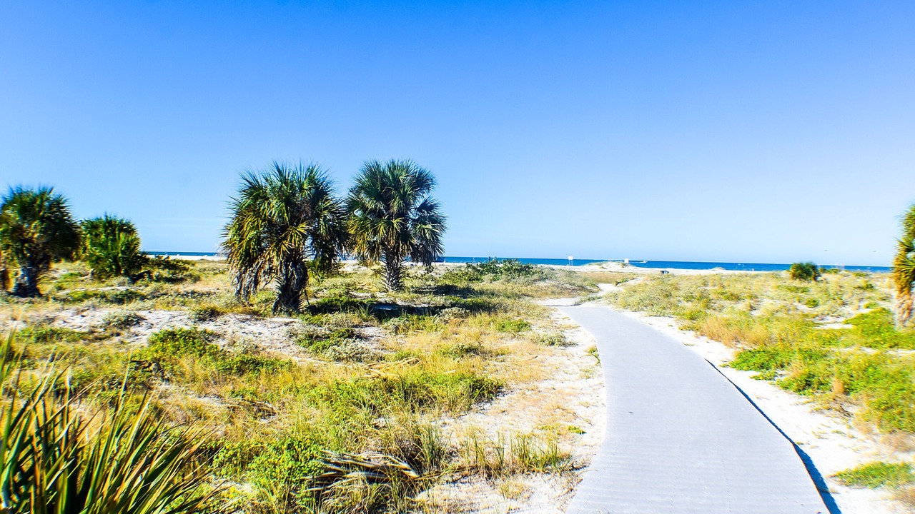 Photo of Outdoor in Clearwater Beach