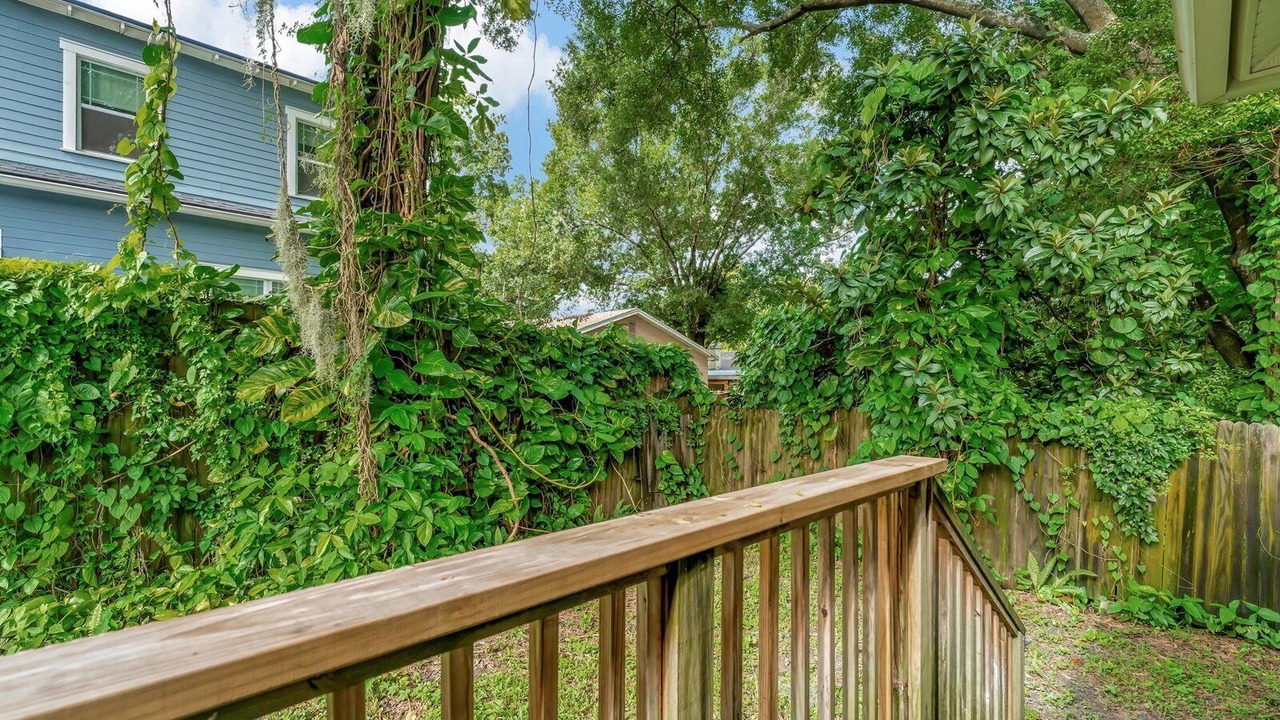 Photo of Outdoor in Old Seminole Heights
