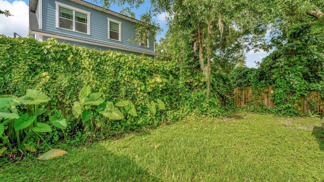 Photo of Outdoor in Old Seminole Heights
