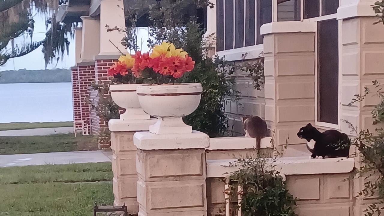 Photo of Outdoor in Palatka