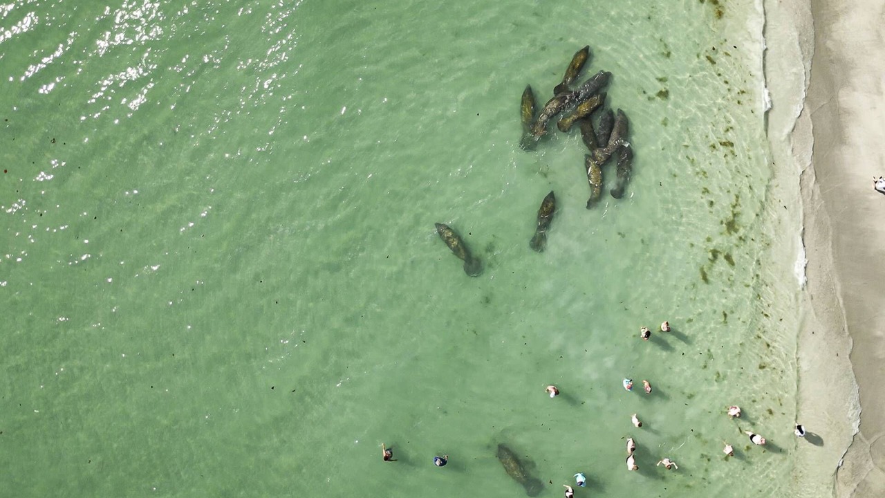 Photo of Outdoor in Madeira Beach
