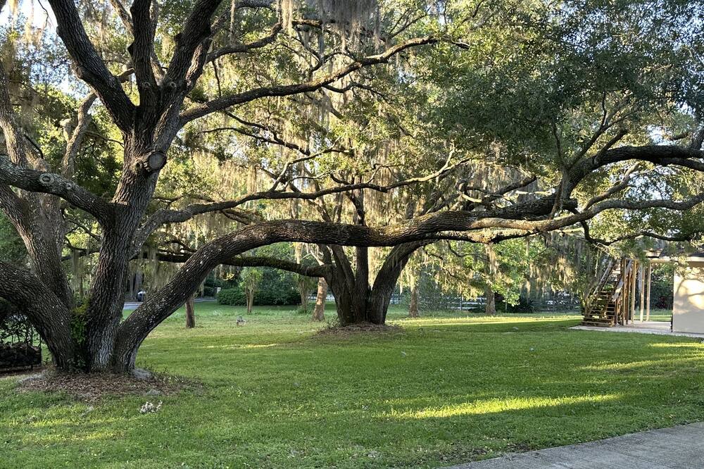 Photo of Outdoor in Tavares