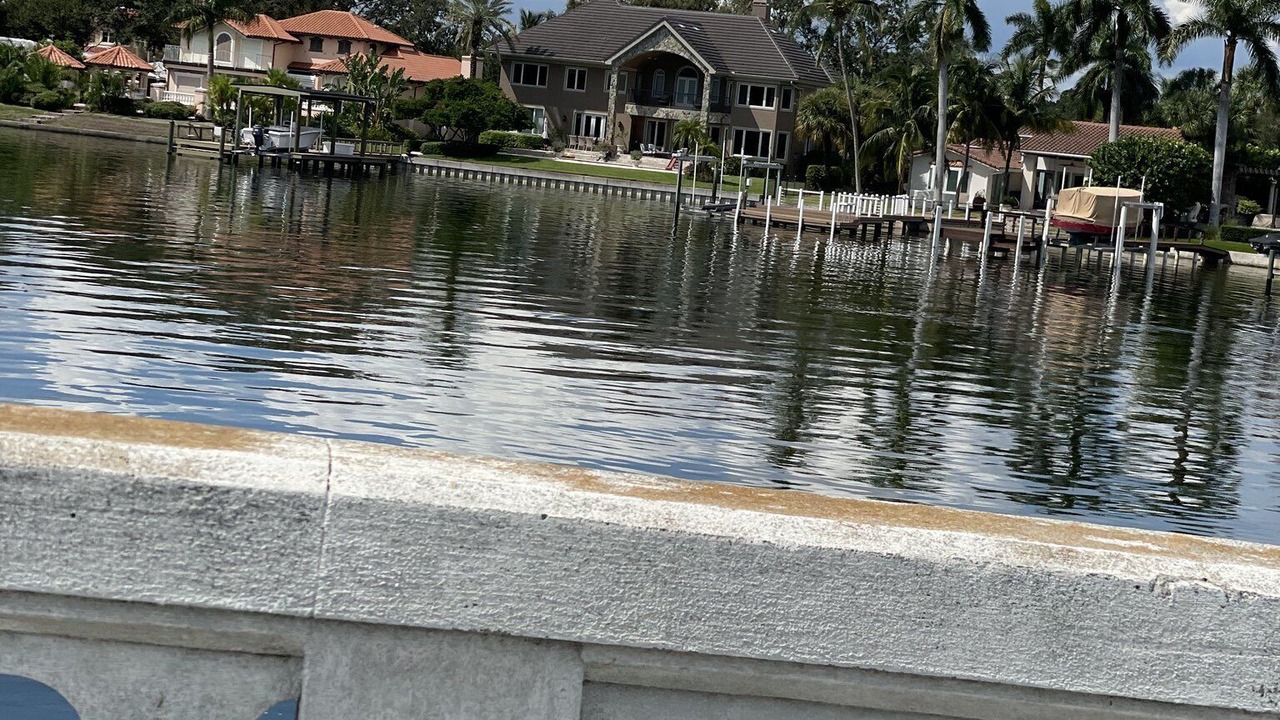 Photo of Others in Snell Isle