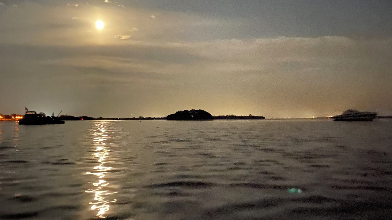 Photo of Outdoor in Whitney Beach
