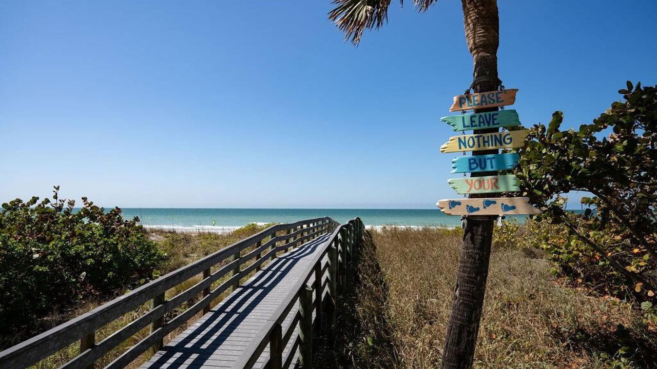 Photo of Others in Indian Rocks Beach