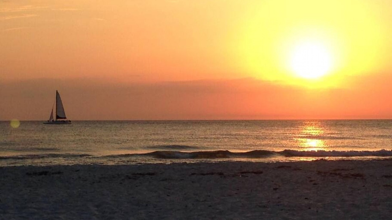 Photo of Others in Indian Rocks Beach