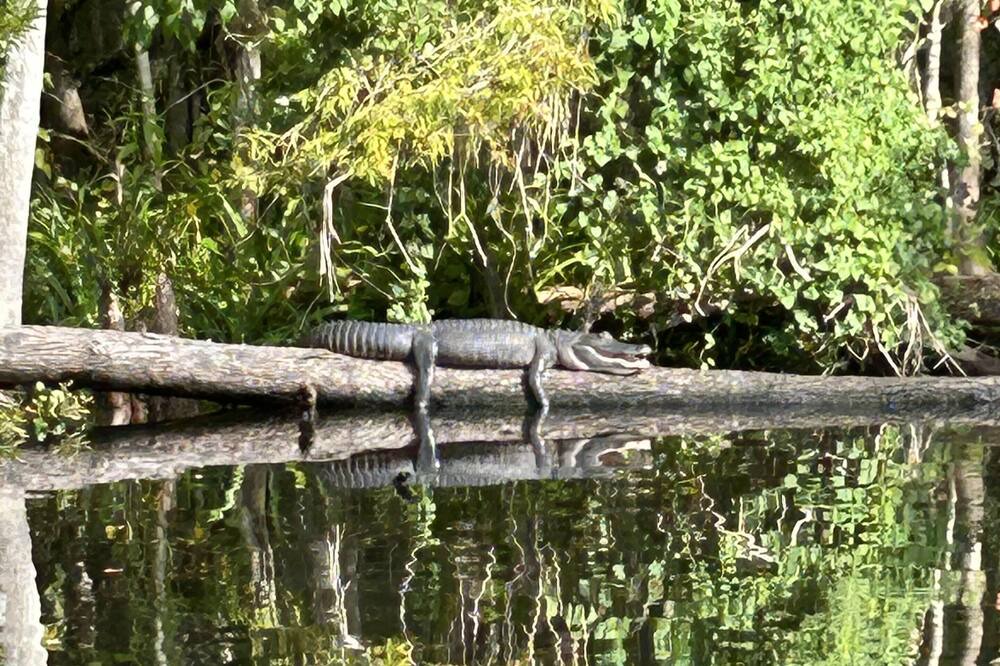 Photo of Others in Crescent City