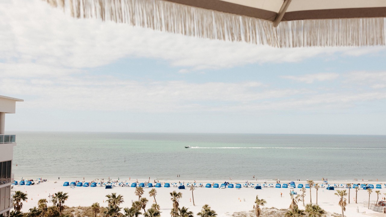 Photo of Others in Clearwater Beach