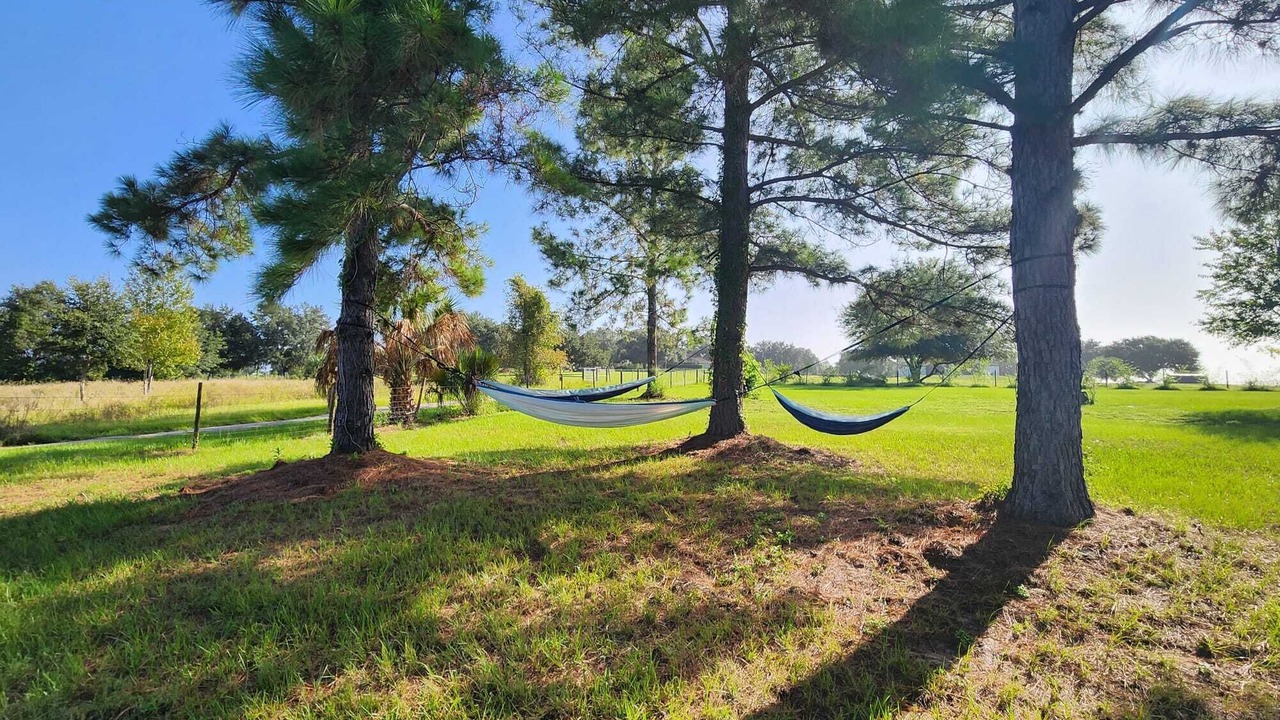 Photo of Outdoor in Groveland