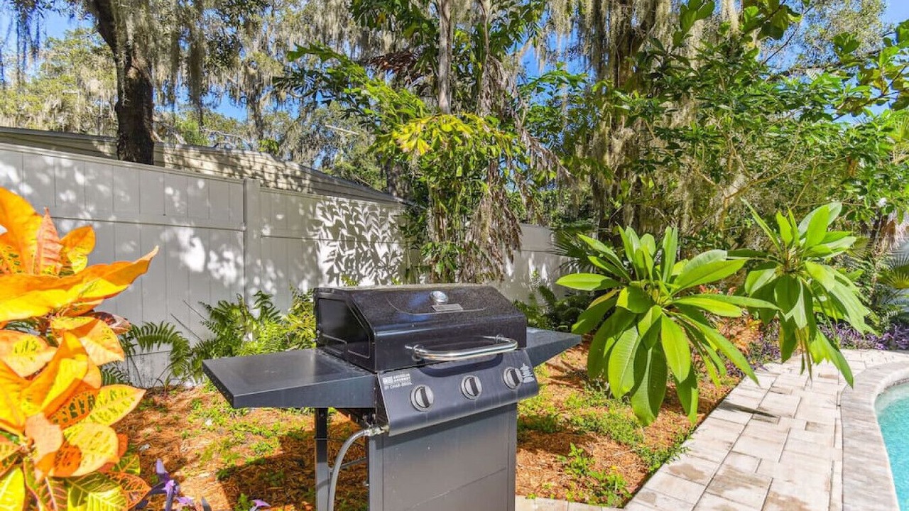 Photo of Outdoor in Temple Terrace