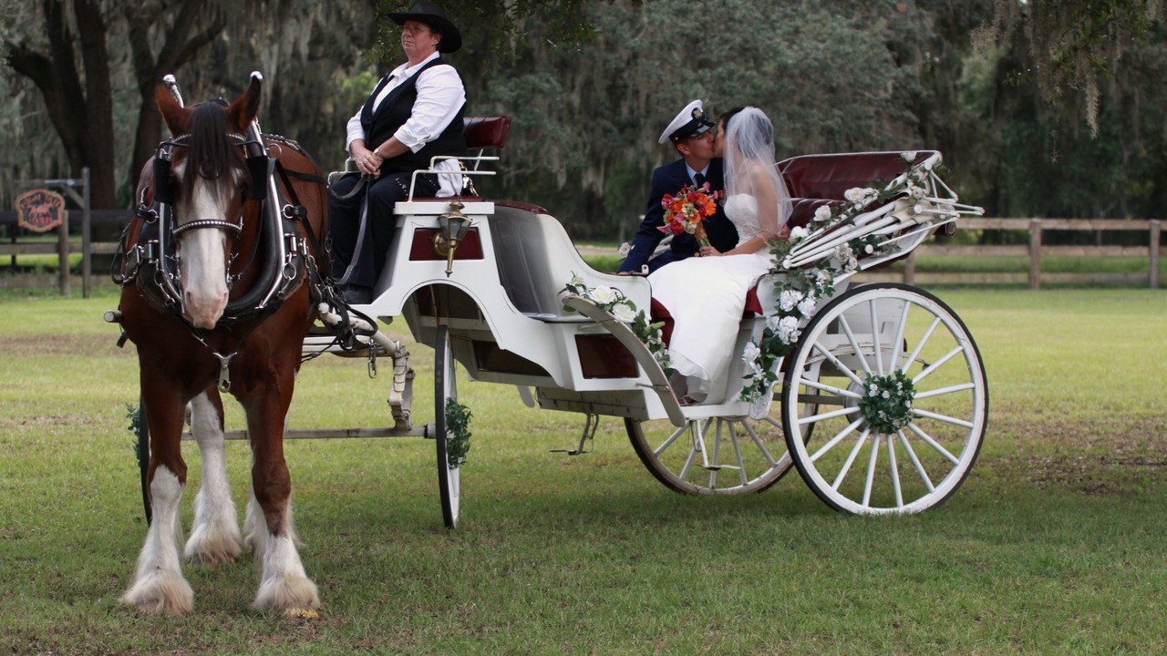 Photo of Others in Ocala