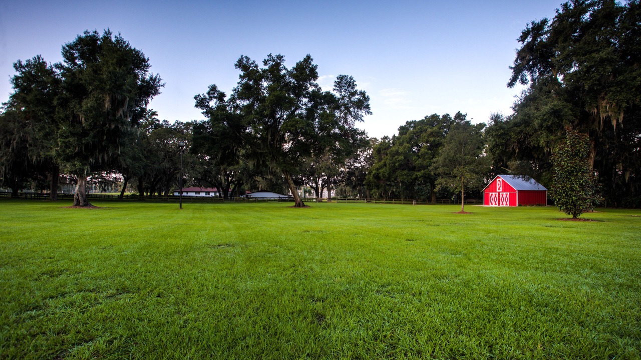 Photo of Outdoor in Ocala