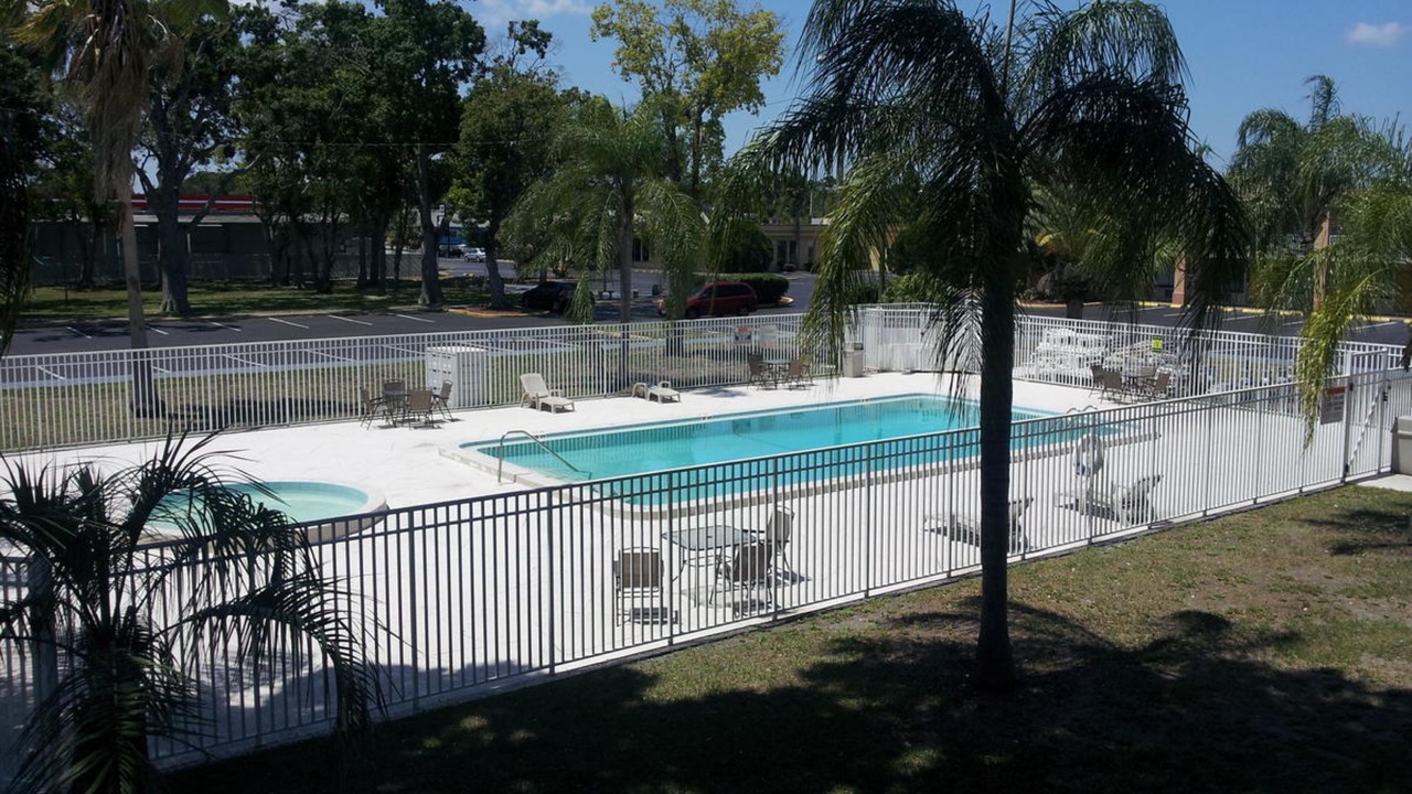 Photo of Outdoor in St. Petersburg - Clearwater