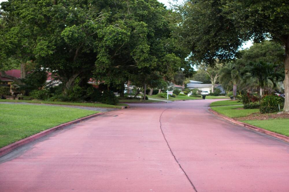 Photo of Others in Pinellas Point