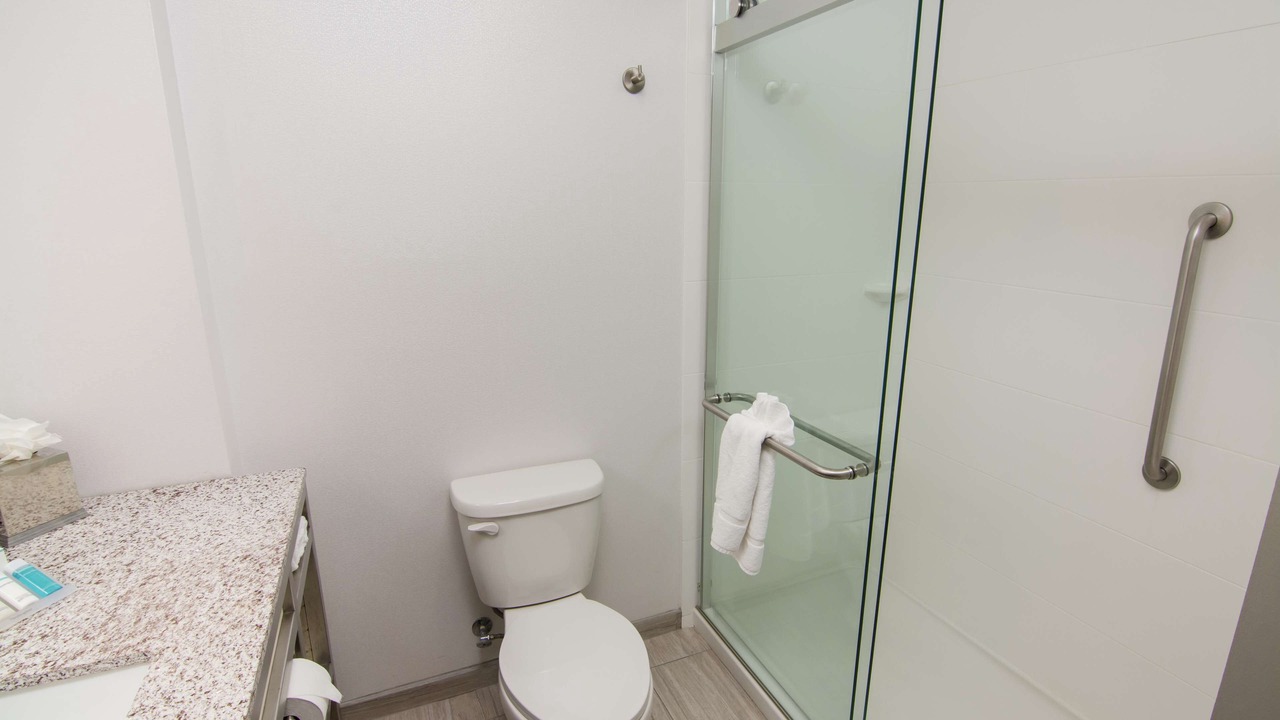 Photo of Bathroom in Lutz