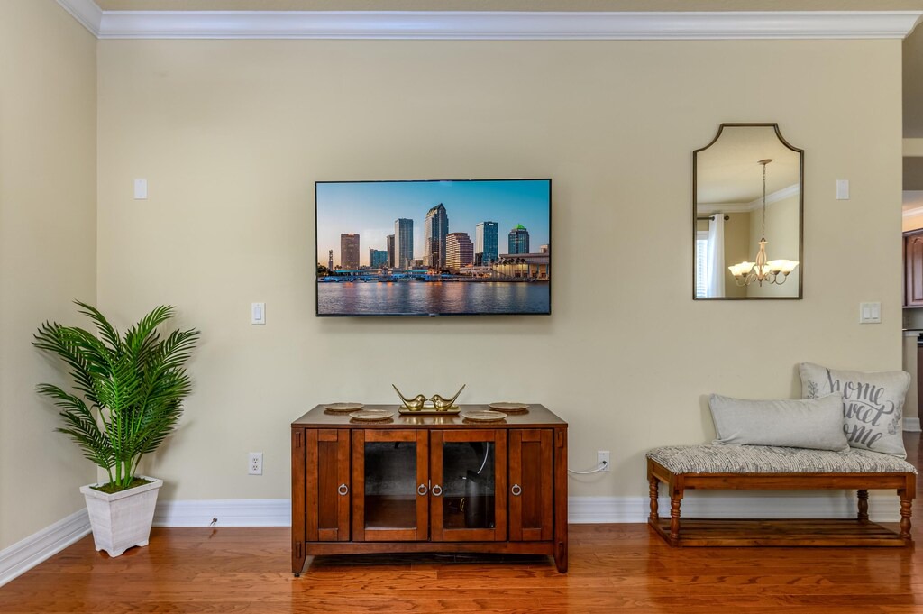 Photo of Livingroom in Port Tampa City