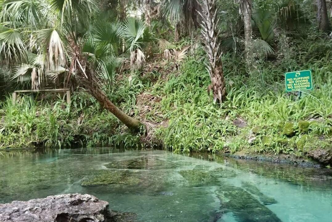 Photo of Outdoor in Forest City