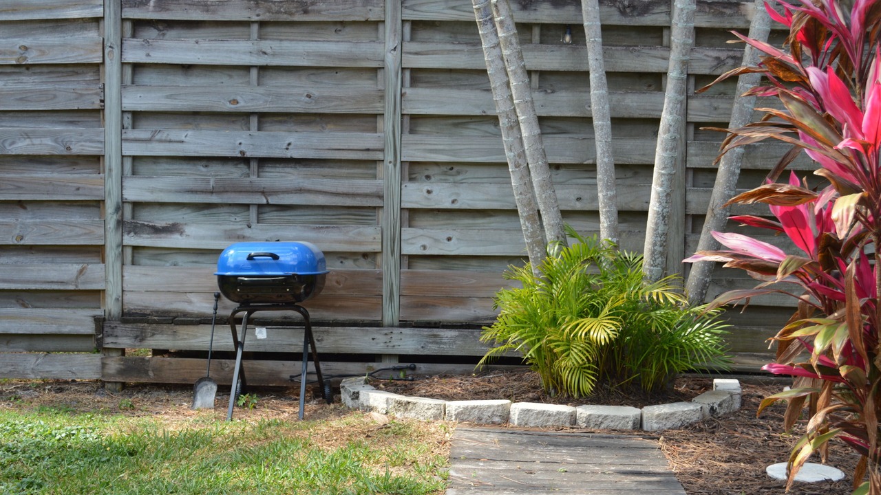 Photo of Outdoor in Pinecraft