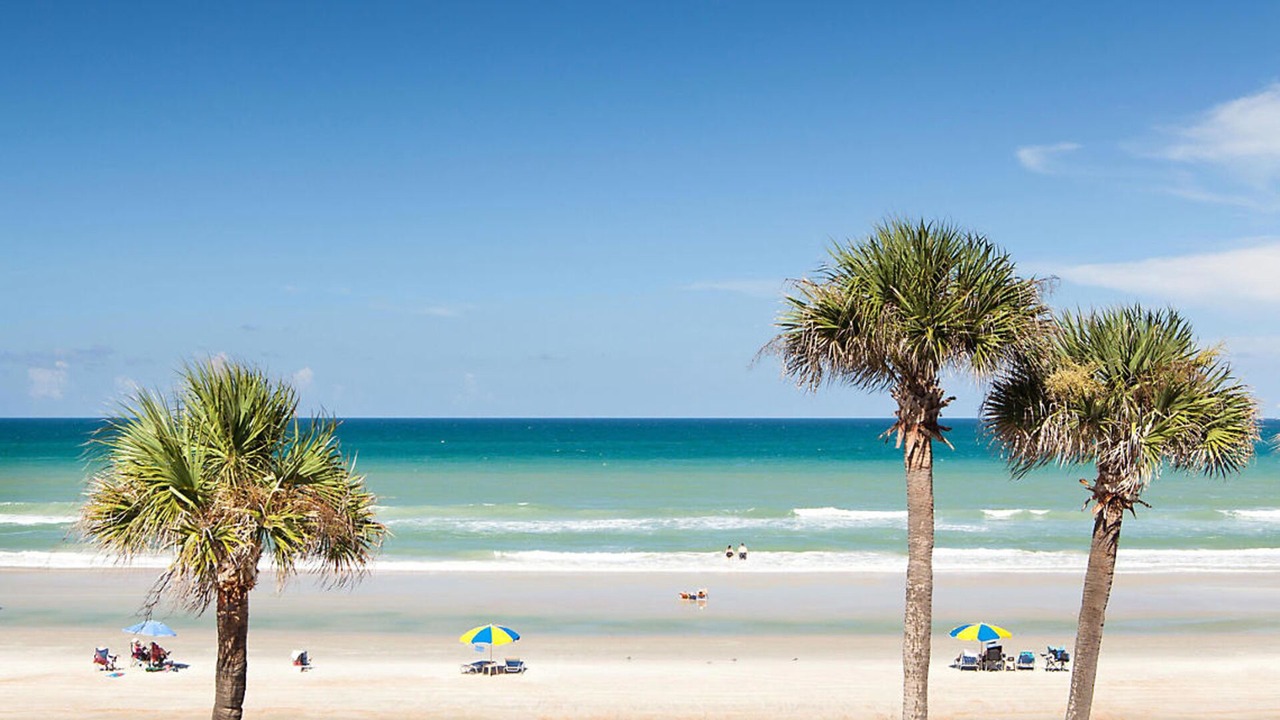 Photo of Others in Daytona Beach Shores