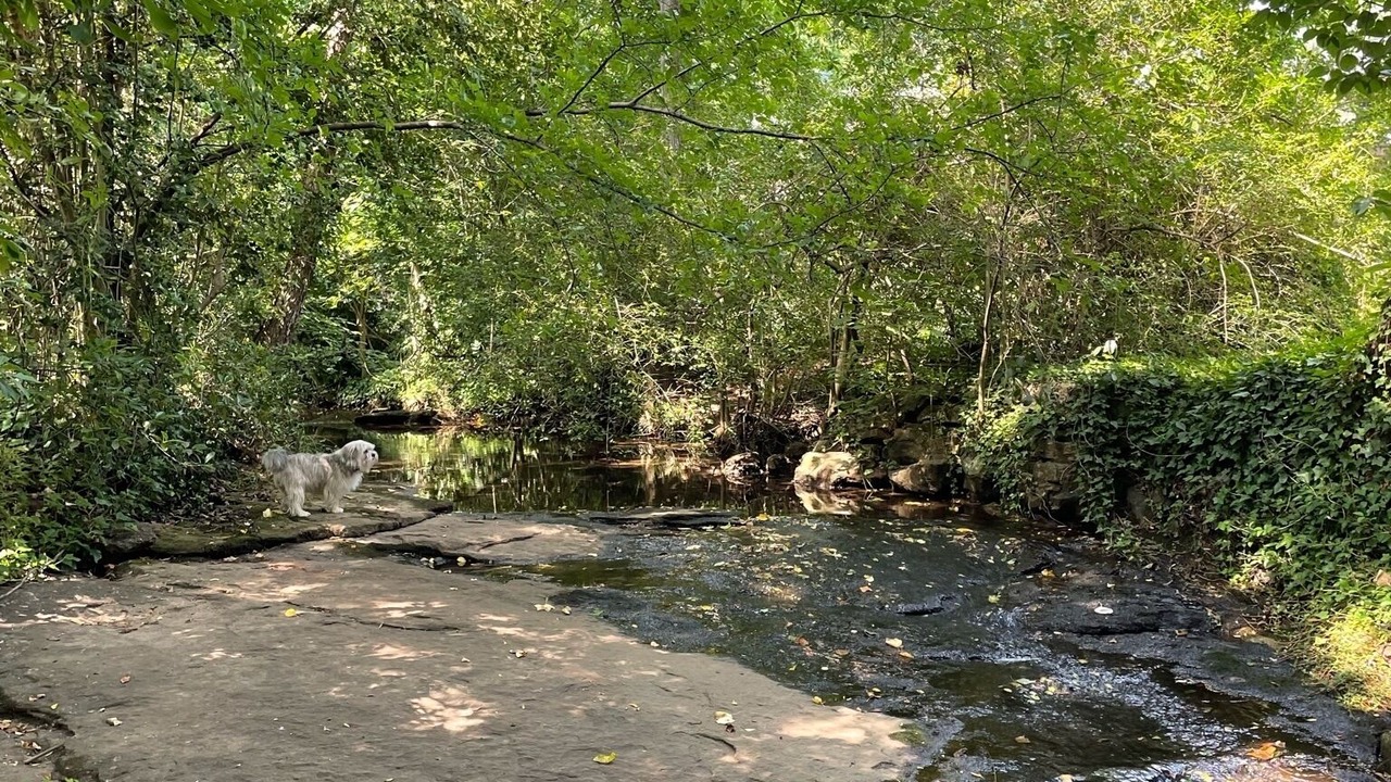 Photo of Outdoor in Greenville