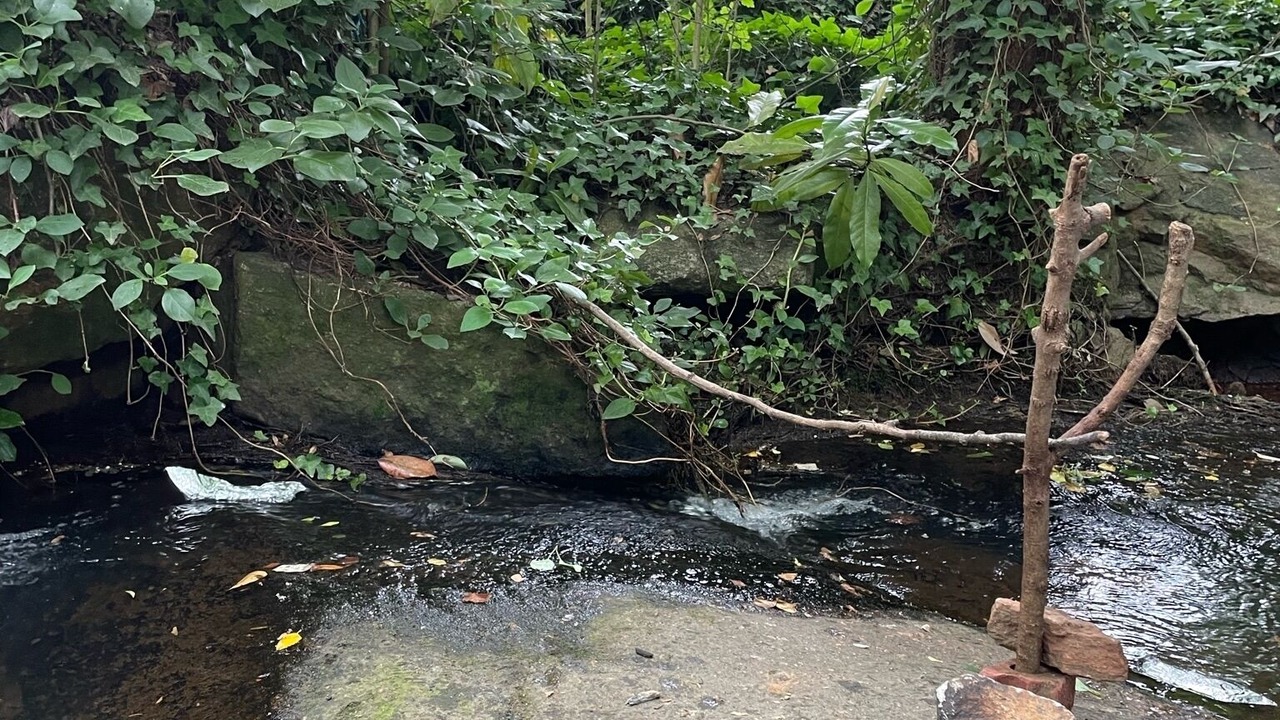 Photo of Others in Greenville
