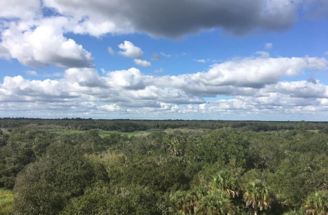 Photo of Others in Palmetto