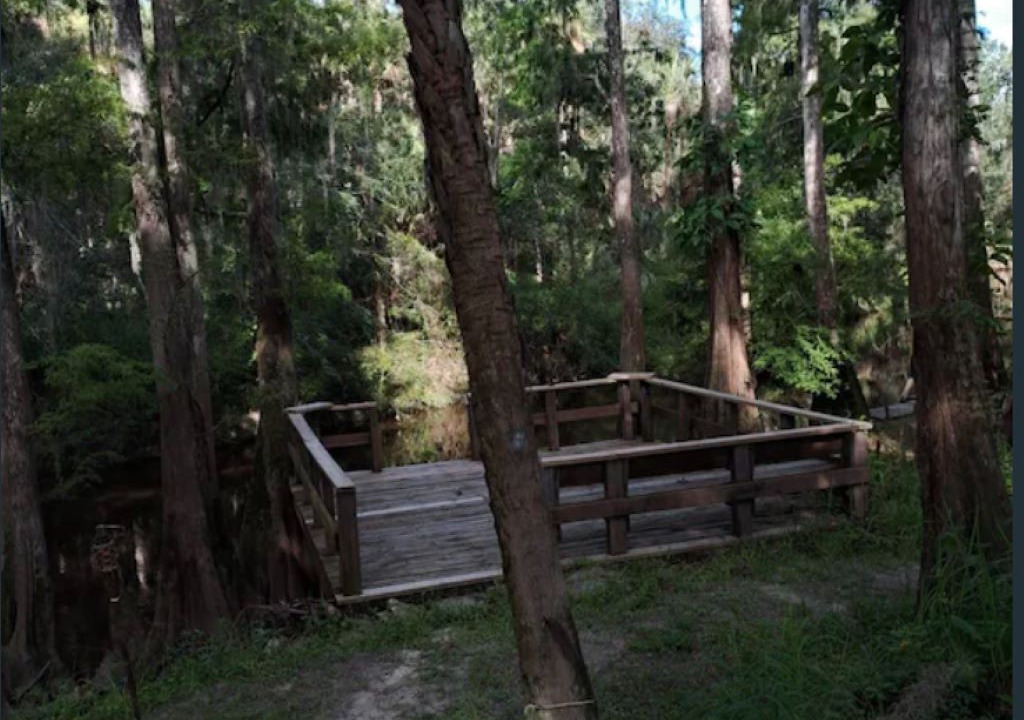Photo of Outdoor in Fish Hawk
