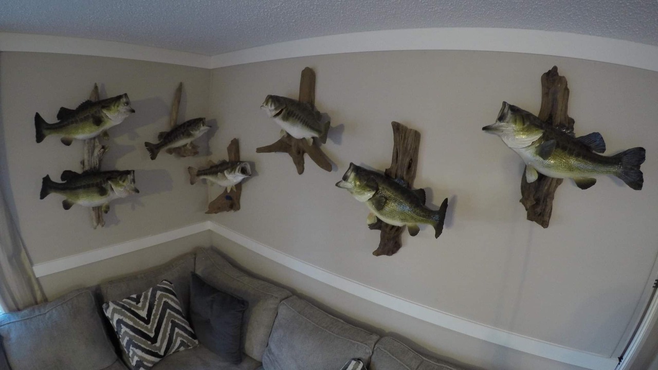Photo of Bedroom in Altoona