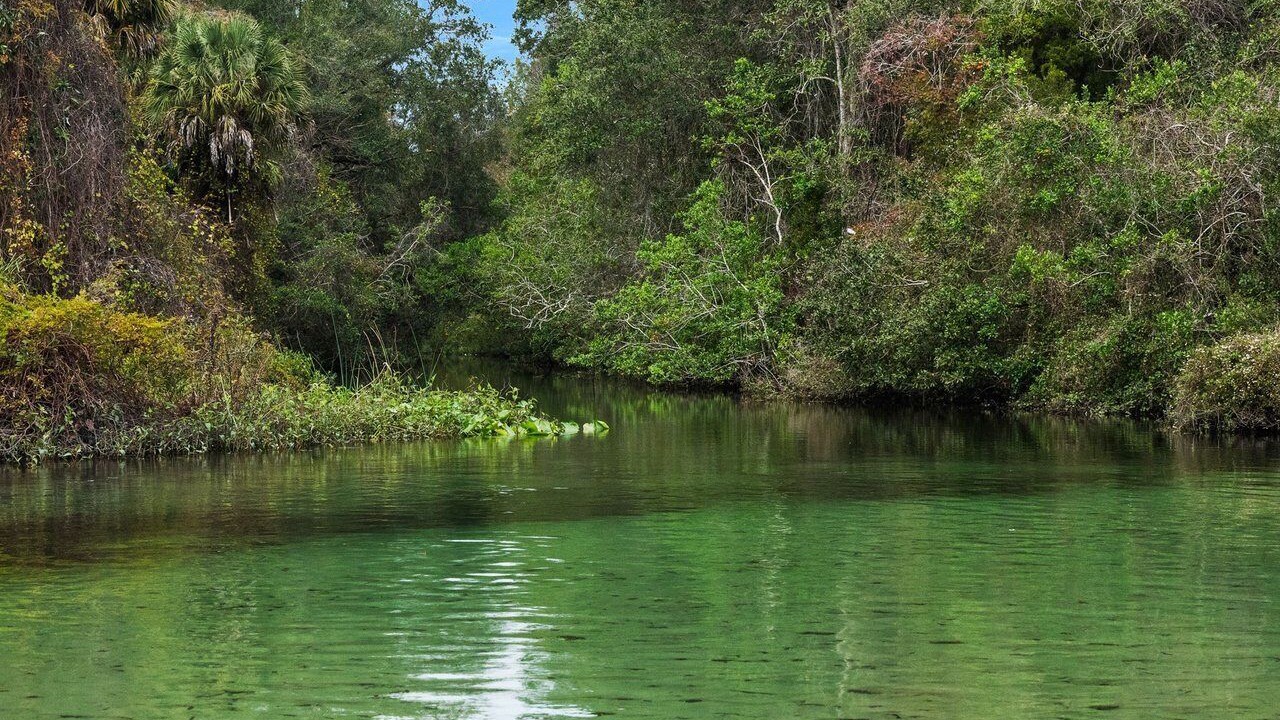 Photo of Outdoor in Weeki Wachee Gardens