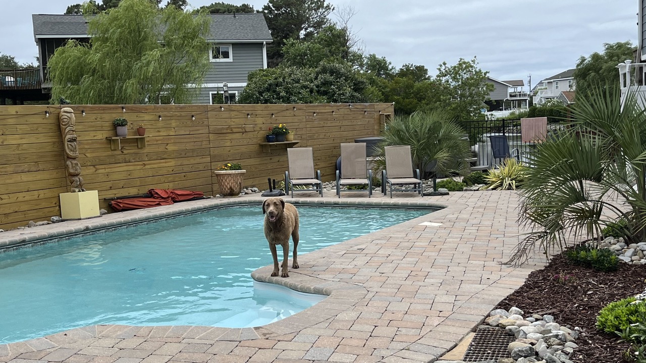 Photo of Outdoor in Sandbridge