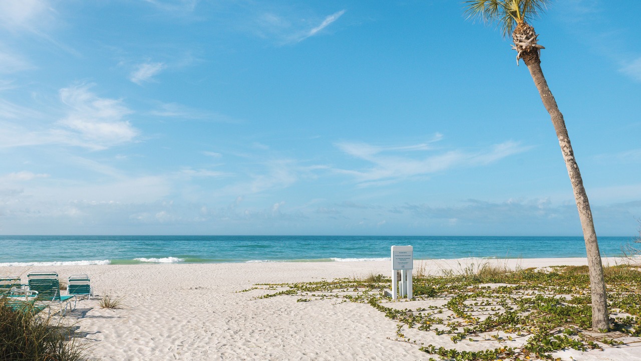 Photo of Others in Longboat Key