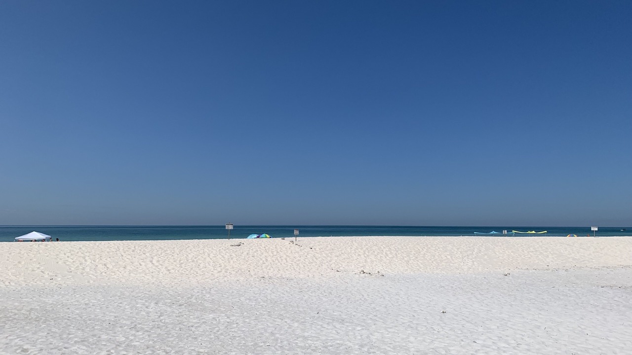 Photo of Others in Indian Shores