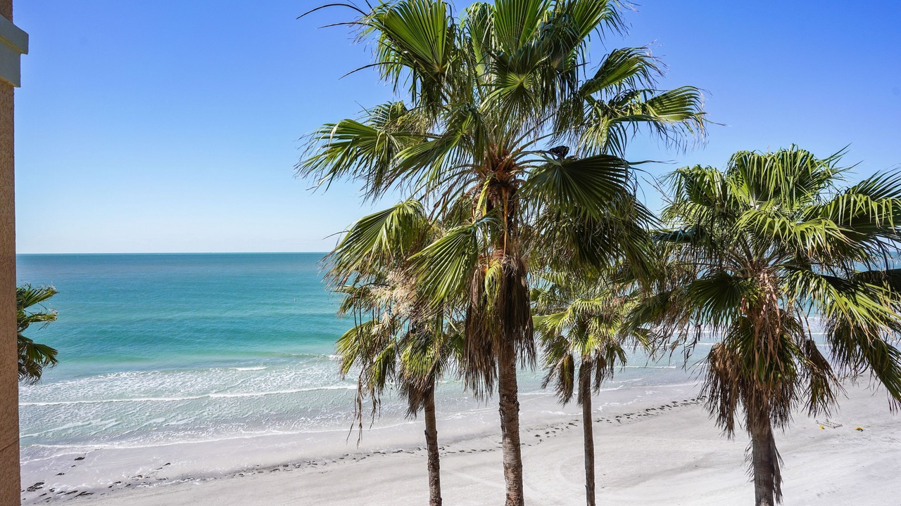 Photo of Others in North Redington Beach