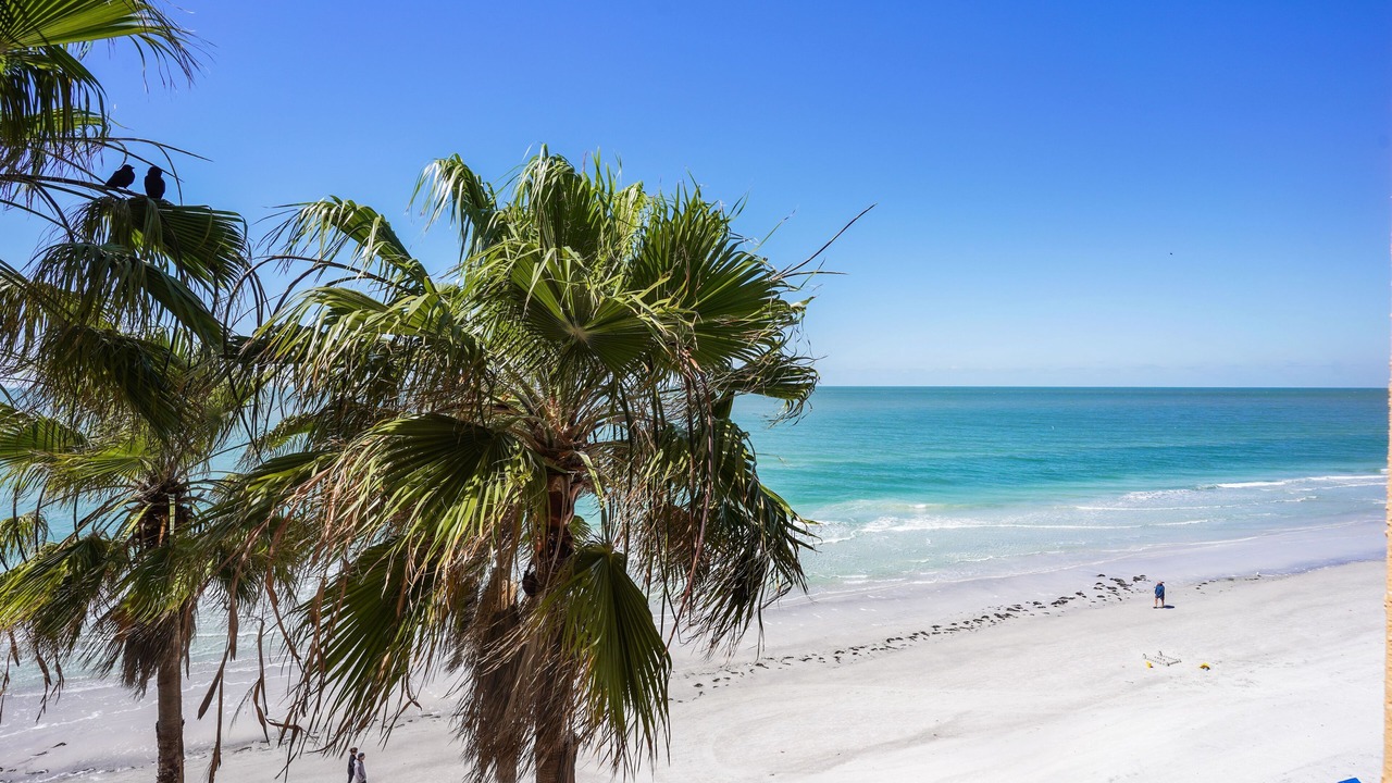 Photo of Others in North Redington Beach