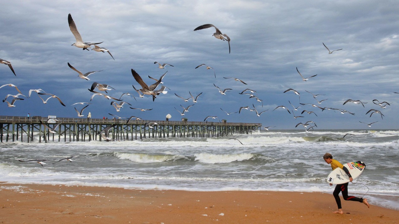 Photo of Others in Flagler Beach