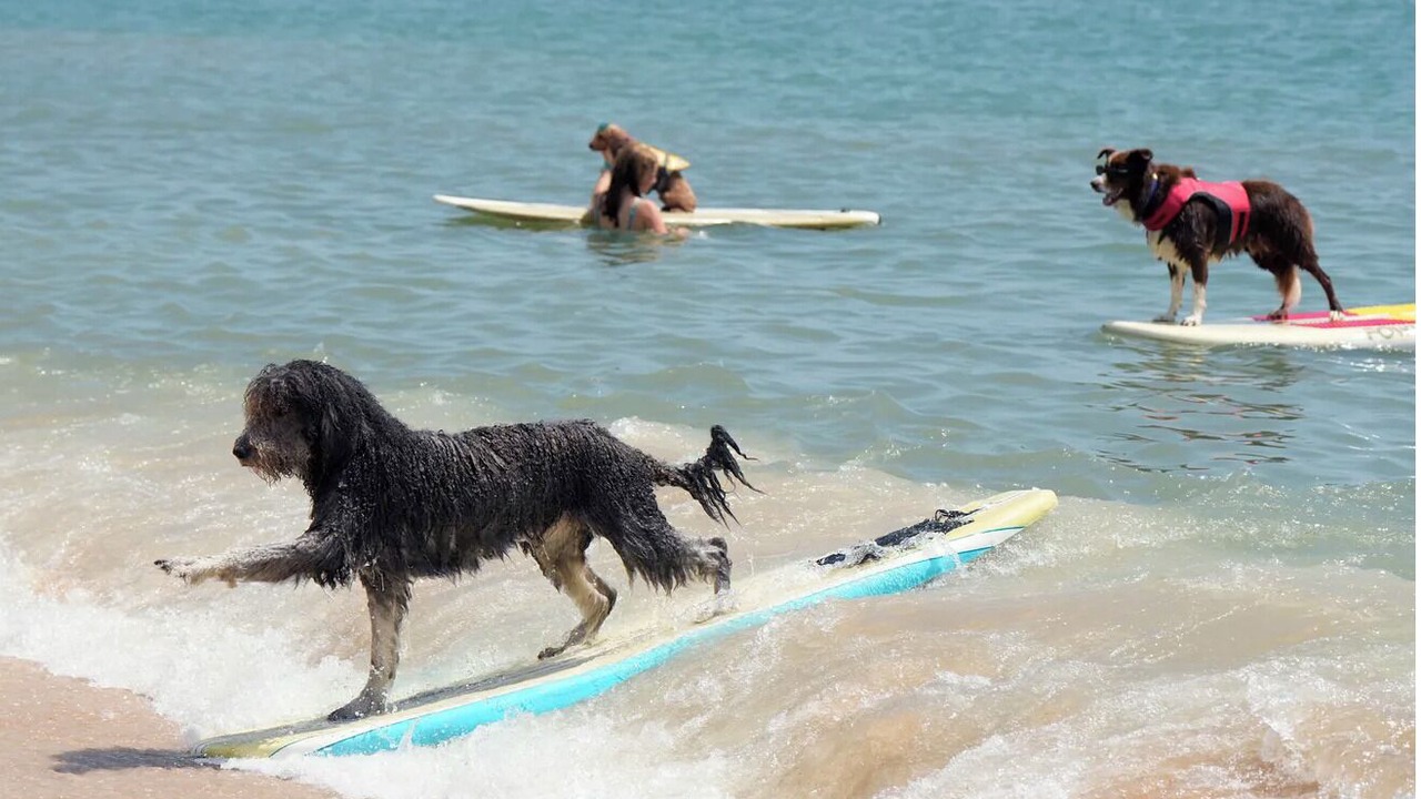 Photo of Others in Flagler Beach
