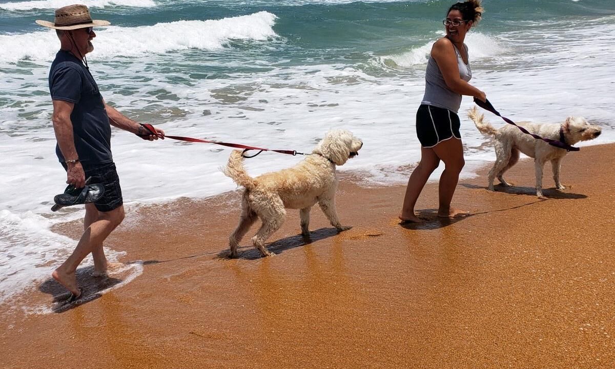 Photo of Others in Flagler Beach