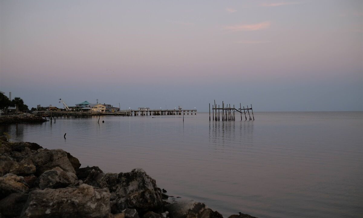 Photo of Others in Cedar Key