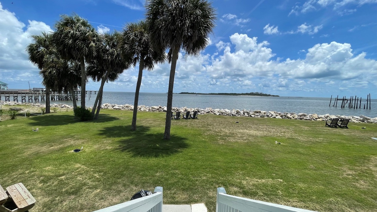 Photo of Others in Cedar Key
