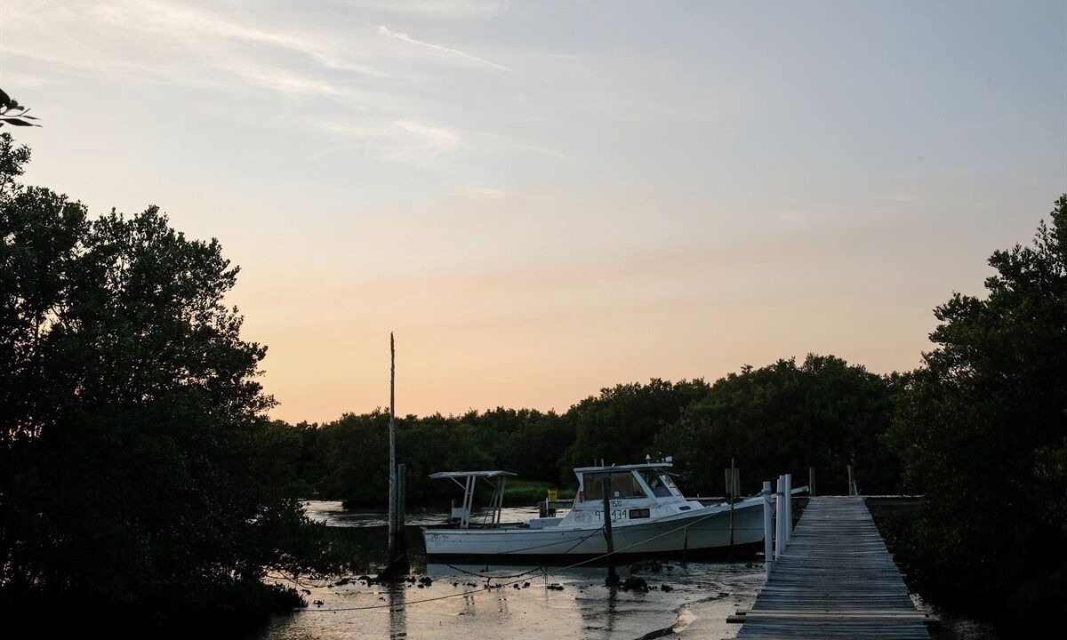 Photo of Others in Cedar Key