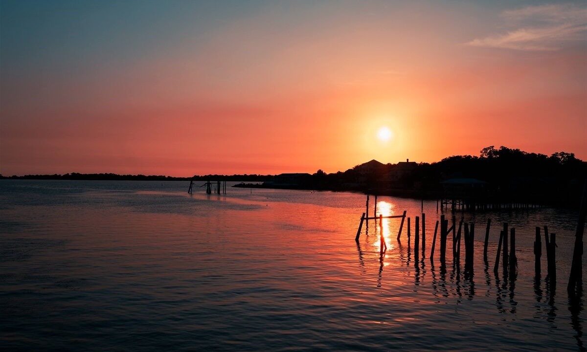 Photo of Others in Cedar Key