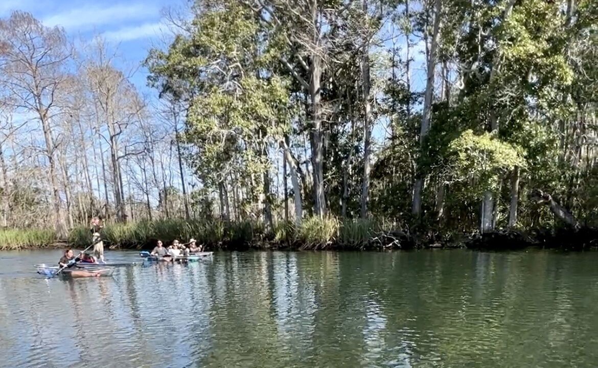 Photo of Others in Weeki Wachee Gardens