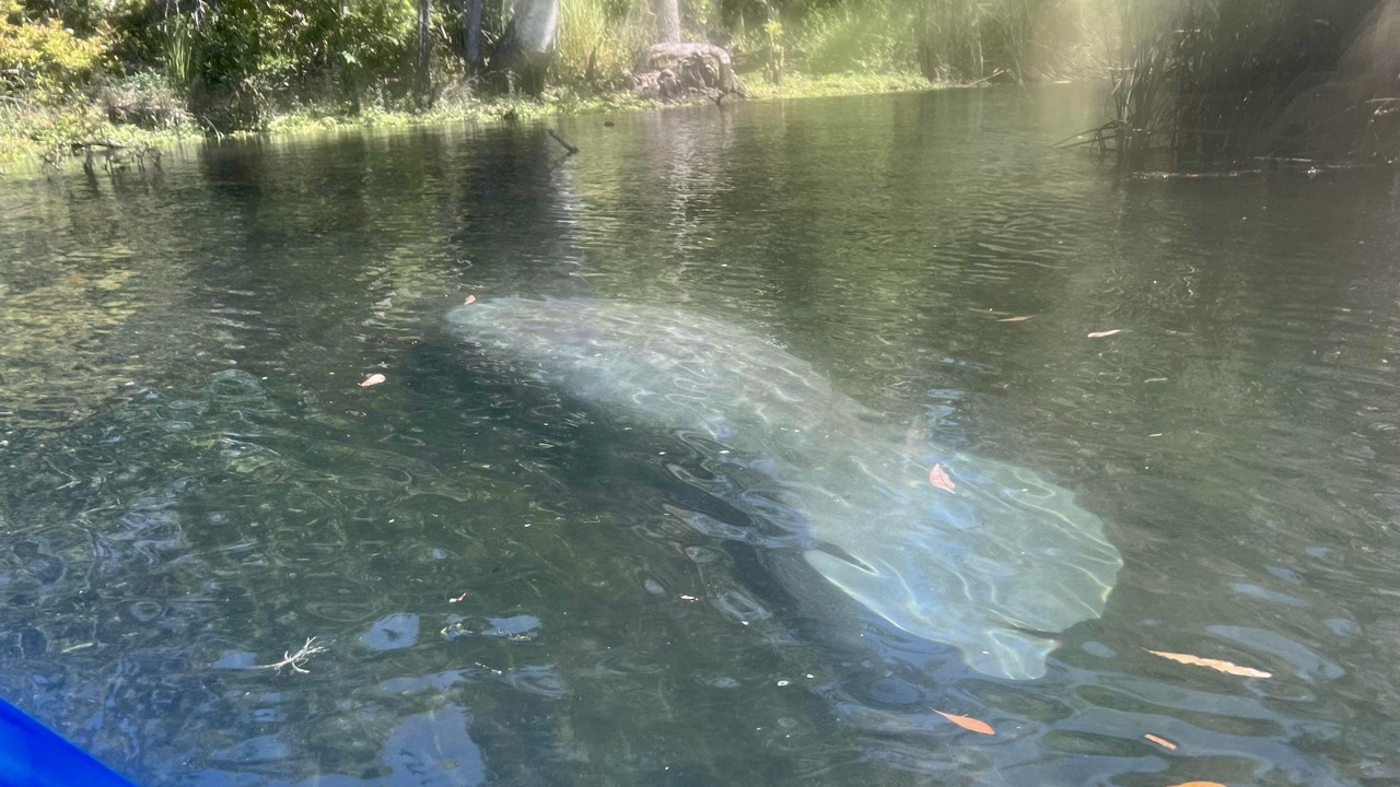 Photo of Others in Weeki Wachee Gardens