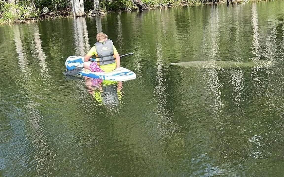 Photo of Others in Weeki Wachee Gardens