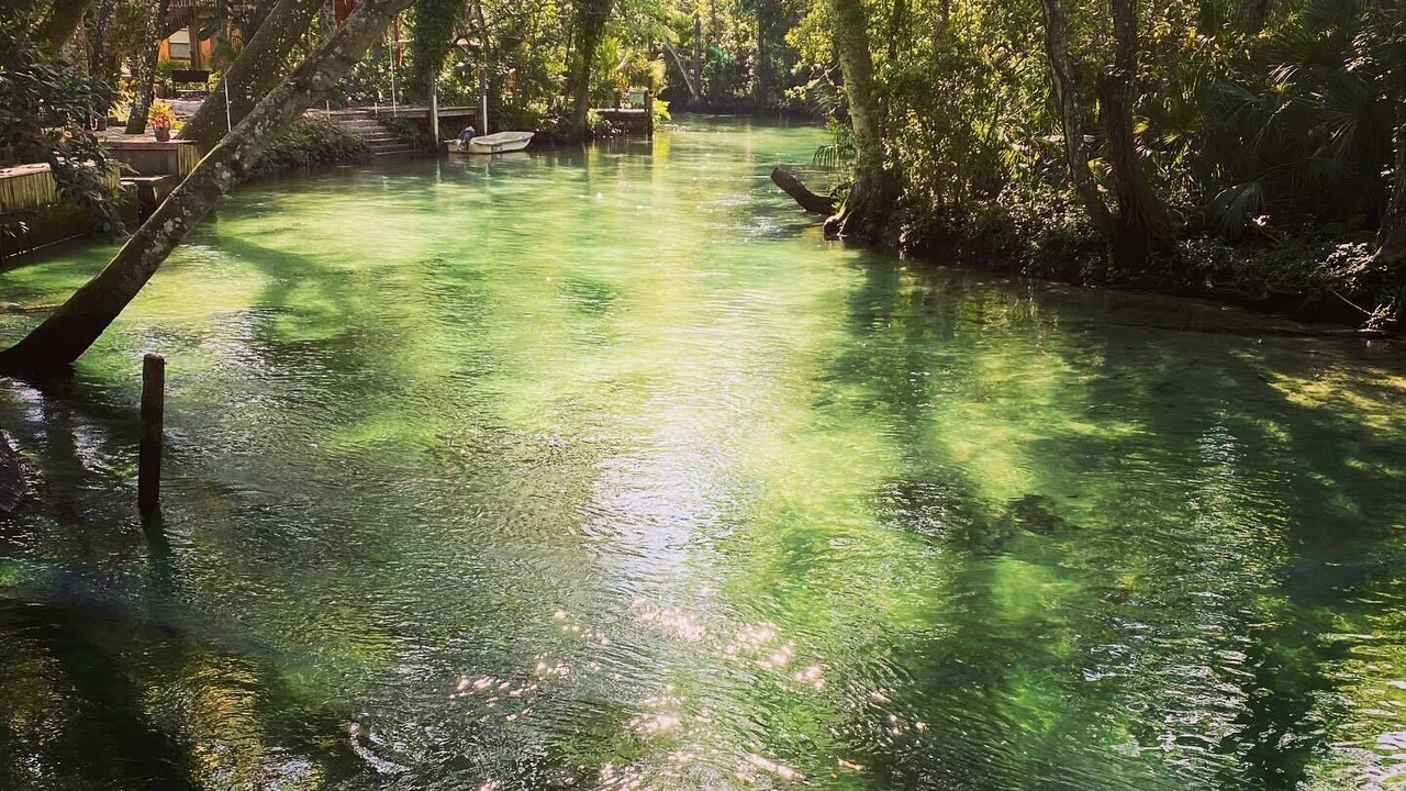 Photo of Others in Weeki Wachee Gardens
