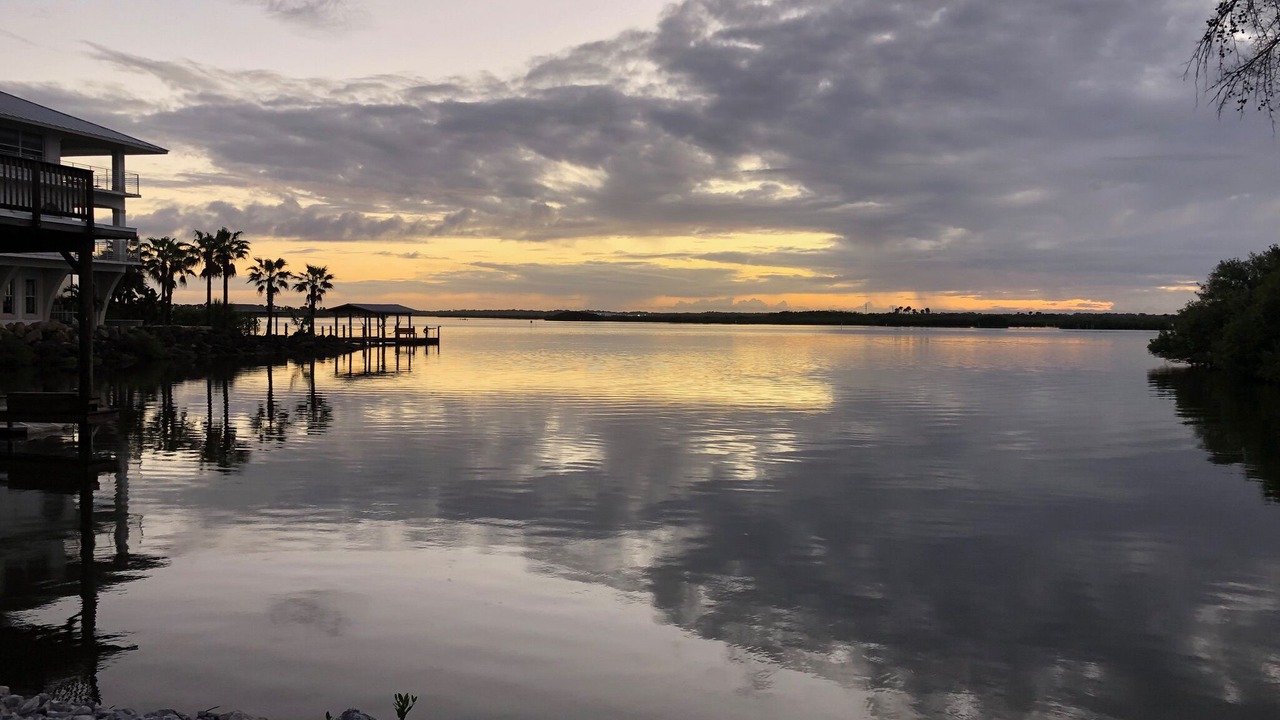 Photo of Others in New Smyrna Beach