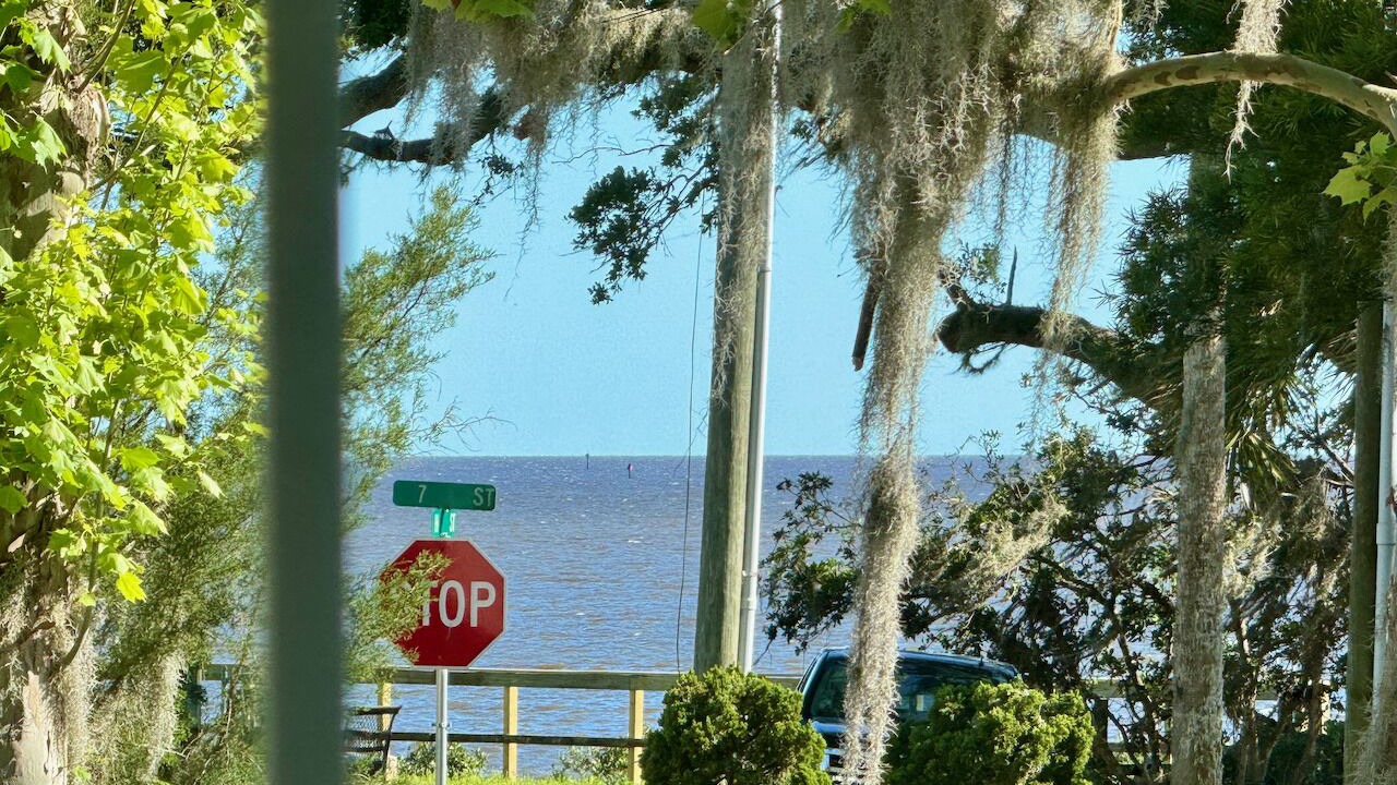 Photo of Others in Cedar Key